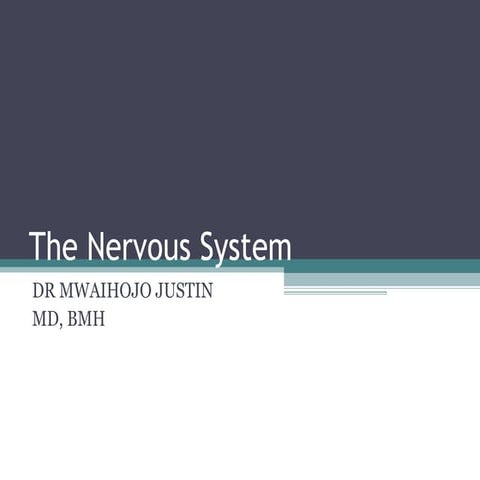 Nervous system complete