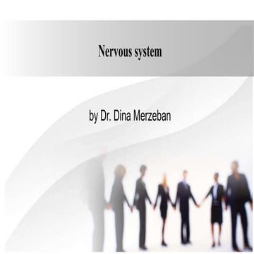 Nervous system 