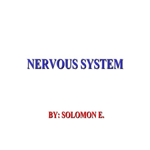 Nervous system final