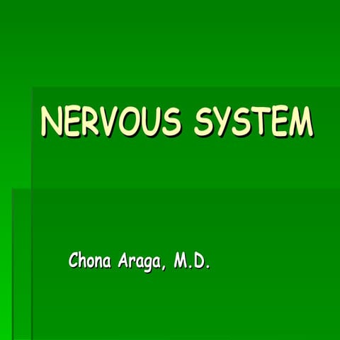 Nervous system gross (1)