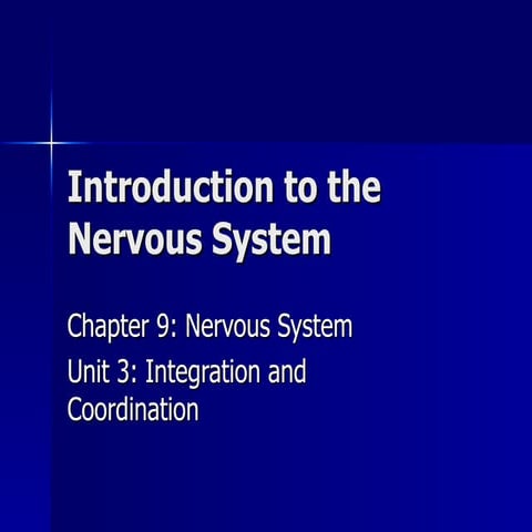 Nervous system intro
