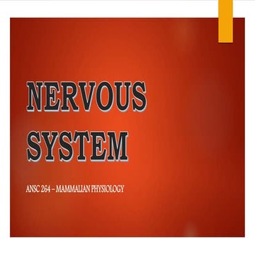 Physiology of the Nervous System 