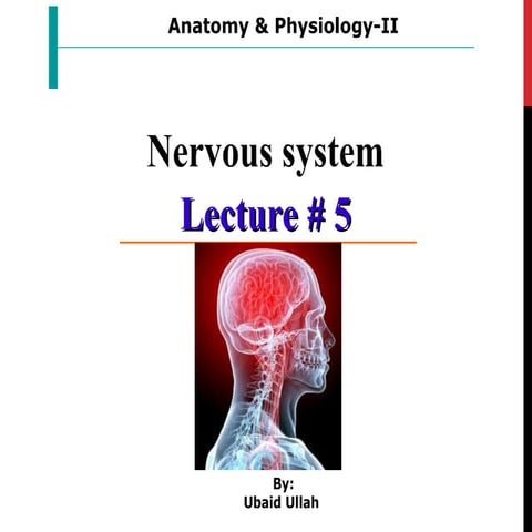 Neuronal Communication -EPSP & IPSP | PPTX
