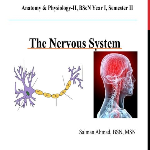 Nervous System BSN 2nd semester KMU ....
