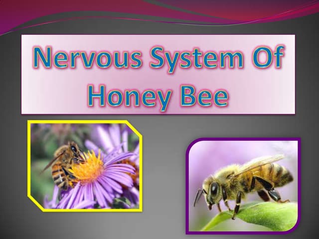 National Center for Biotechnology Information