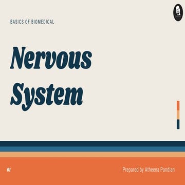 Human Nervous system - Structure and Function of Neuron | PDF