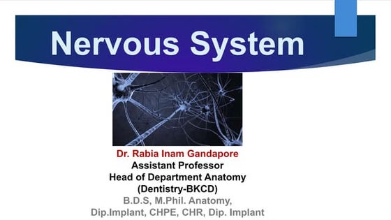 Ppt Histology Of Nervous System Powerpoint Presentation Free