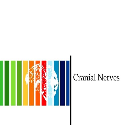 Nervous system part 5
