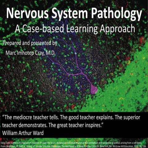 Nervous System Pathology_A Case-based Learning Approach