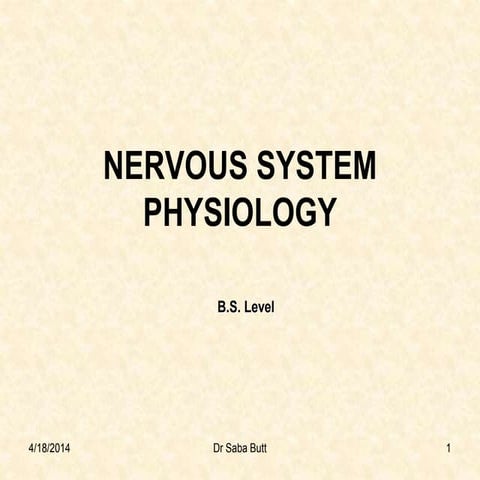 Anatomy And Physiology Of The Nervous System Ch12 | PPT