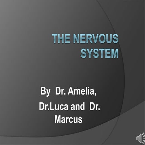Nervous system power point