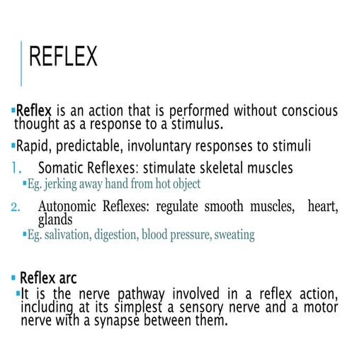 Reflex action and types, Nervous system, Anatomy and Physiology | PPTX
