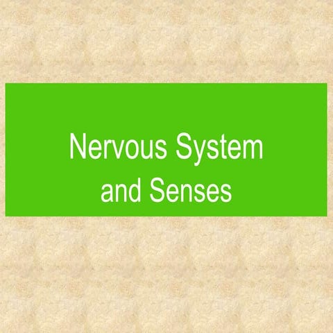 CLASSIFICATION OF NERVOUS SYSTEM & COMPONENTS