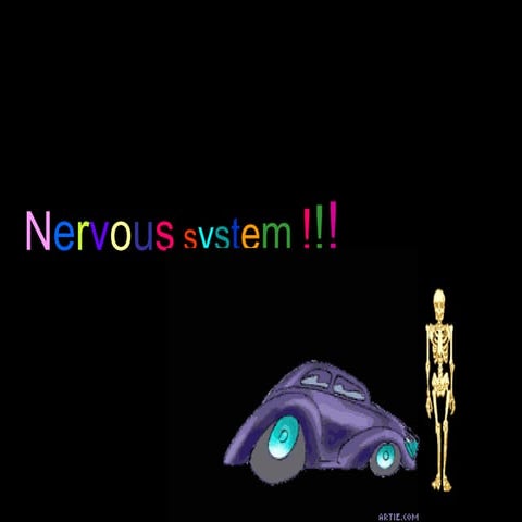 Nervous system ppt (1) | PPT