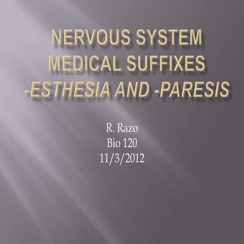 Nervous system ppt presentation