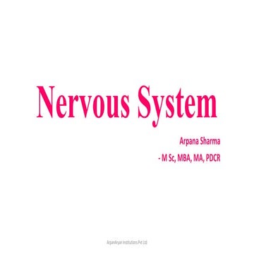 Nervous system presentation