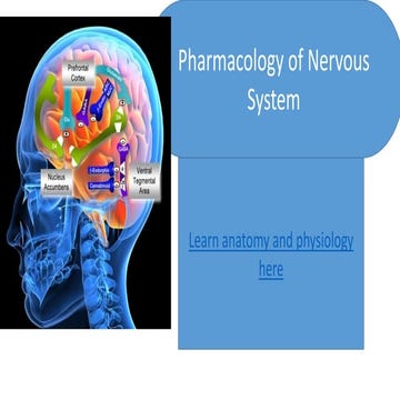 Pharmacology of Nervous System