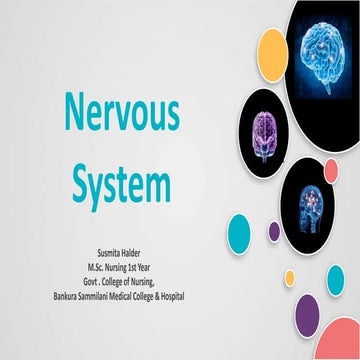 Nervous system