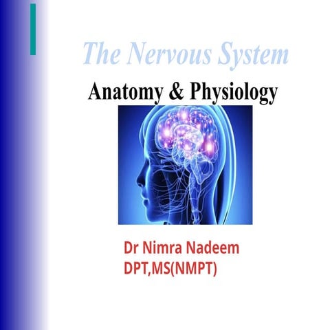 the introduction to Nervous Sytem-1.pptx