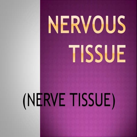 Nervous tissue