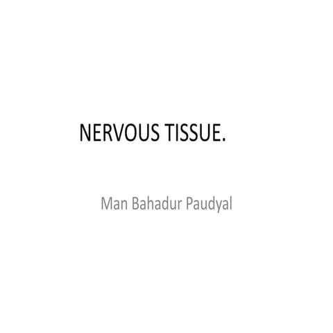 Nervous tissue