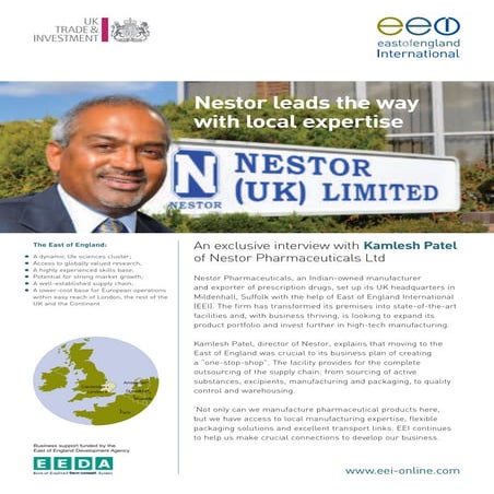 Nestor Sector Interview | PDF