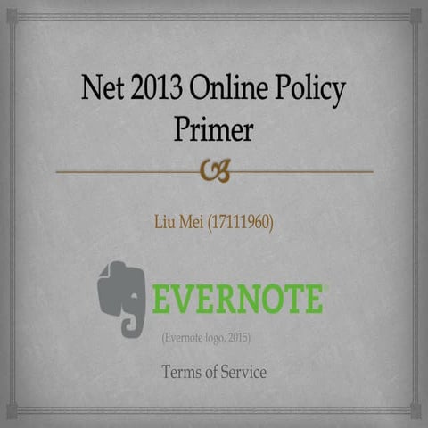 Net 2013 online policy primer