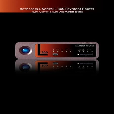 Net Access L 300 Factsheet