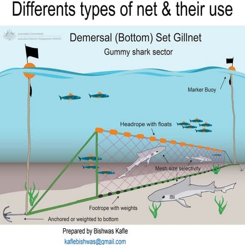 Net and protection