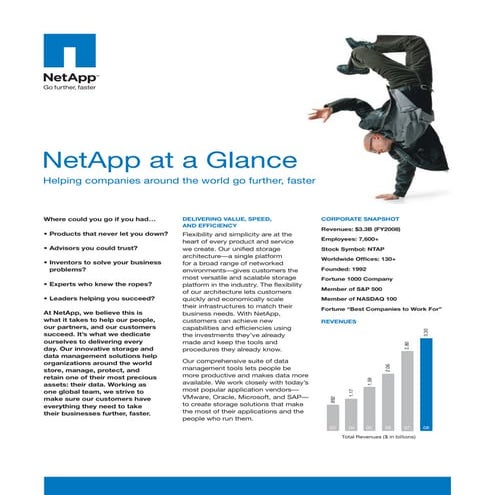 Net App At A Glance