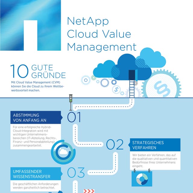 NetApp Cloud Value Management  - 10 Good Reasons German
