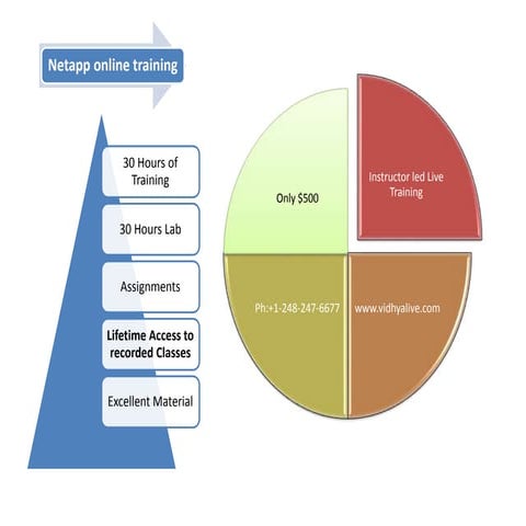 Netapp online training-30Hours Classes, 30Hours Lab,Assignments, Project