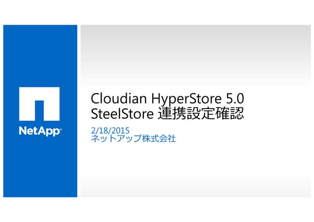 NetApp SteelStore with CLOUDIAN HyperStore