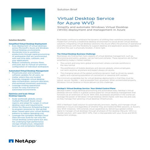 Netapp VDS solution brief 