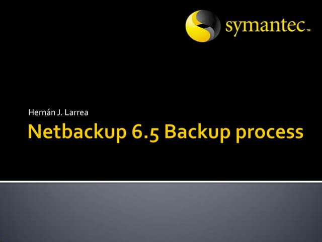Netbackup 6.5 backup process
