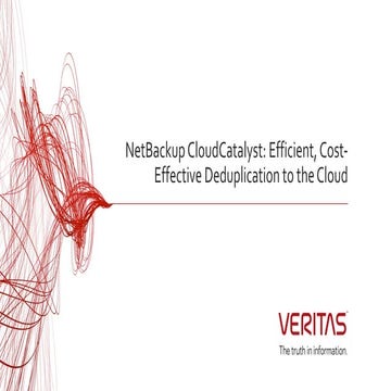 NetBackup CloudCatalyst – efficient, cost-effective deduplication to the cloud