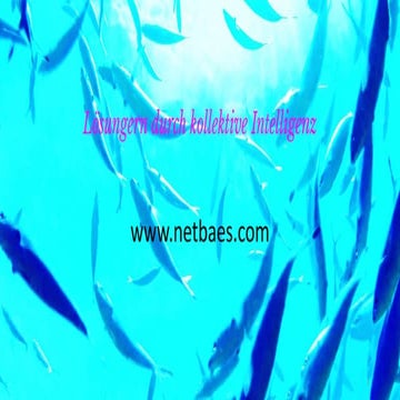 Netbaes Vorstellung Produkte und Dienstleistungen