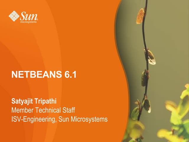 Net Beans61 Ide