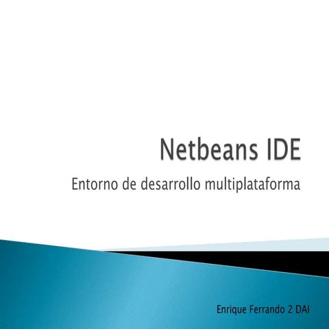 Netbeans Ide ENFEES