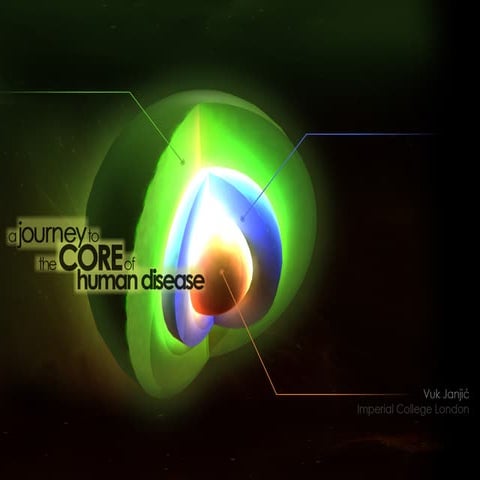 NetBioSIG2013-Talk Vuk Janjic