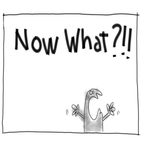 Next in digital advertising, NetCamp 2010