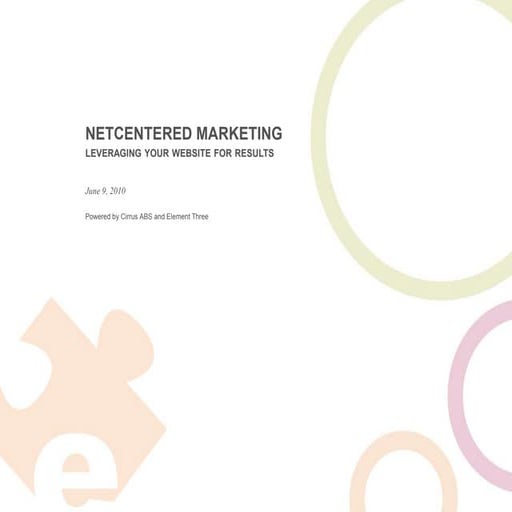 NetCentered Marketing: Leveraging Your Website for Results