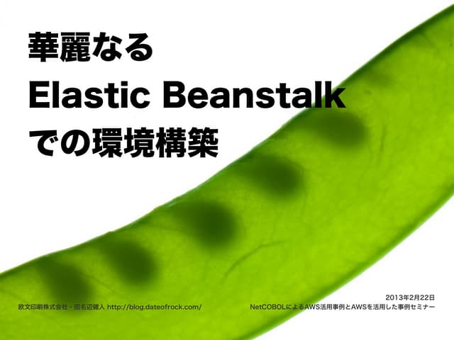 華麗なるElastic Beanstalkでの環境構築