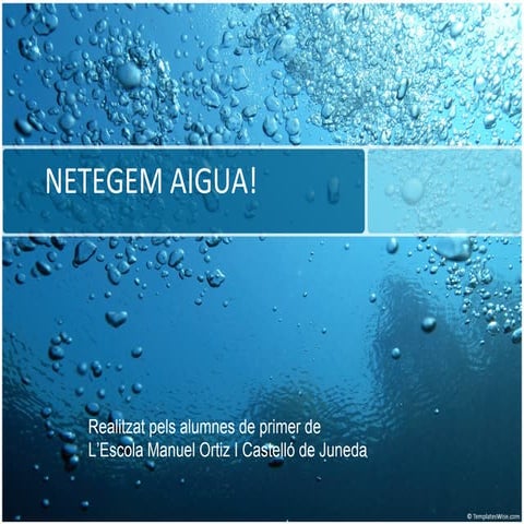 Netegem aigua