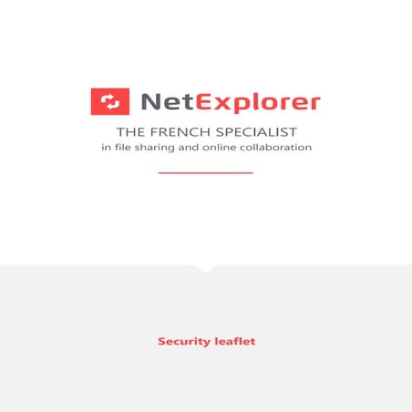 NetExplorer security leaflet