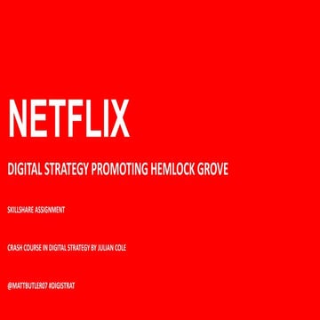 Netflix Digital Strategy