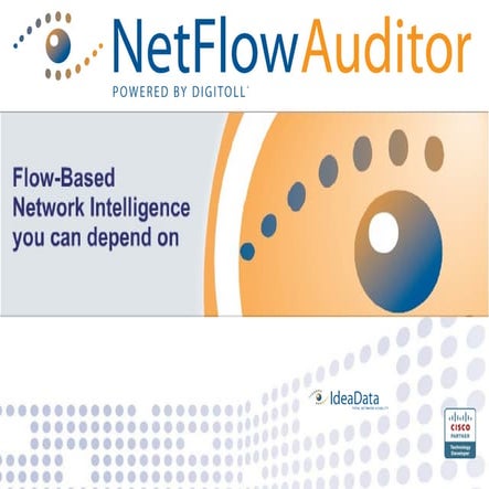 NetFlow Auditor Anomaly Detection Plus Forensics February 2010 08