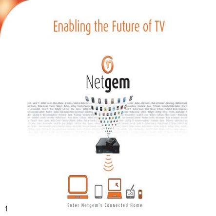 Netgem Q4 2012