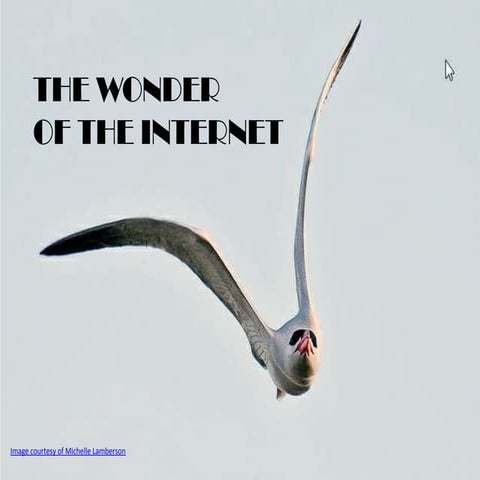 The Light and Dark of the Internet