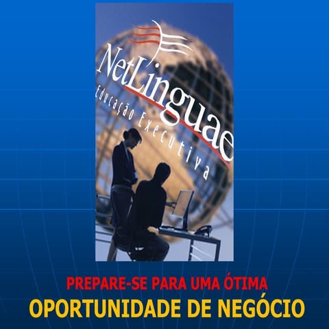 Business Opportunity: NetLinguae franchising